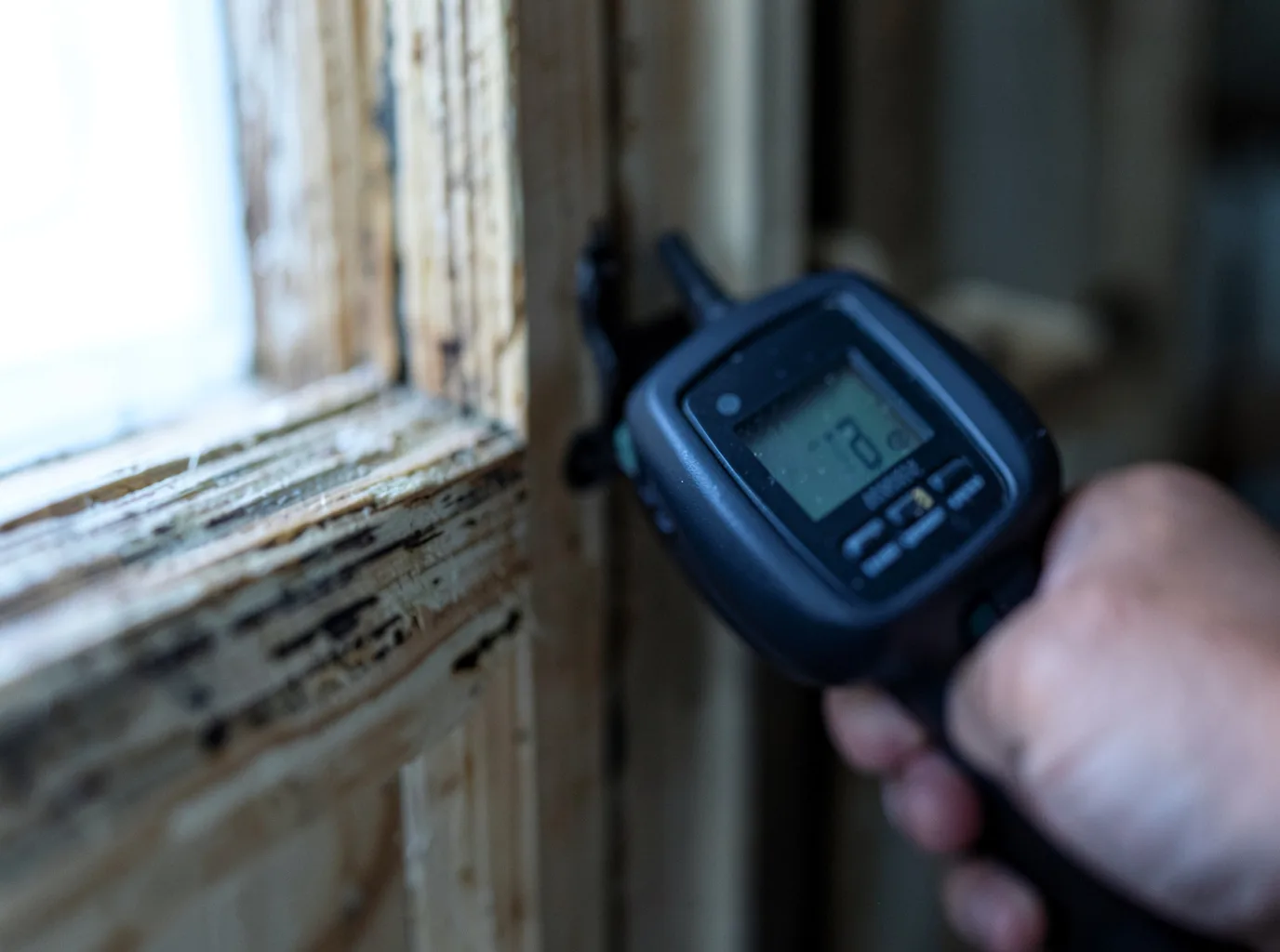 Moisture Inspection And Documentation in Granite, CO